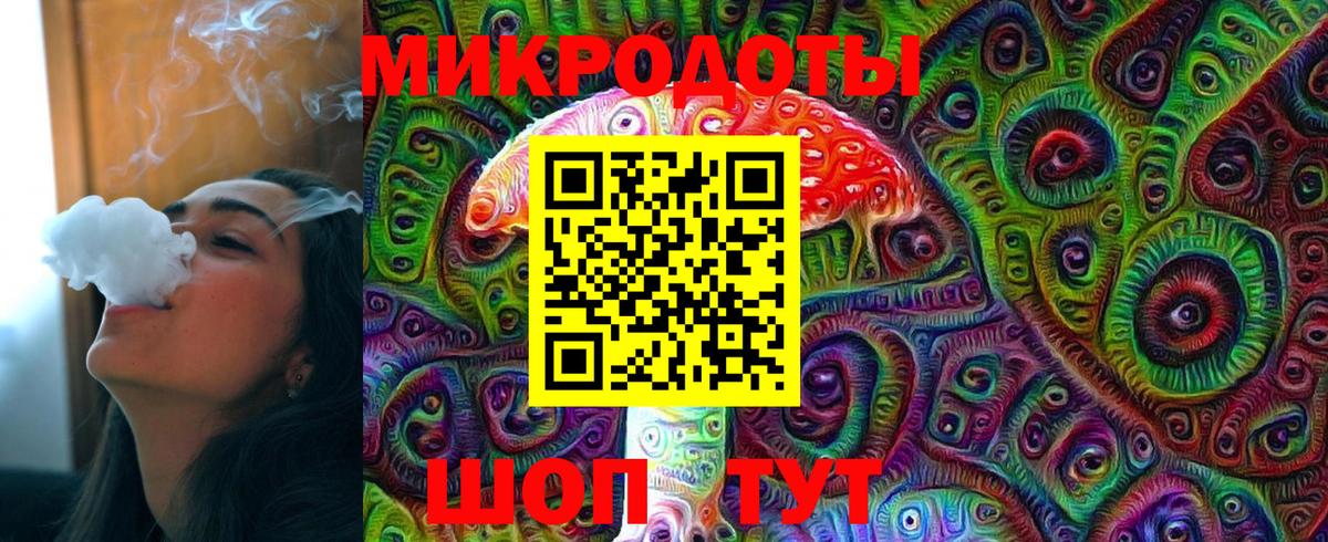 Галлюциногенные грибы прущие грибы  Вход с VPN  Сунжа 