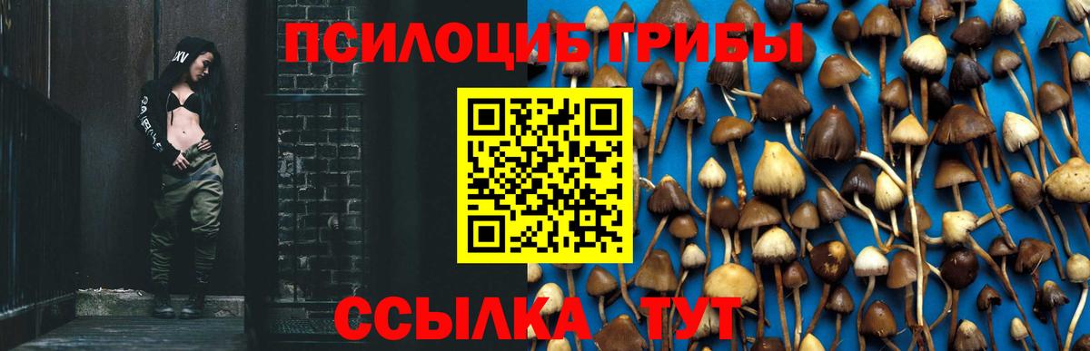 Псилоцибиновые грибы Magic Shrooms Сунжа